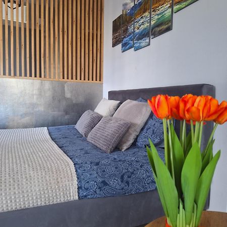 Apartament Gorska Szarotka Nowy Targ Zewnętrze zdjęcie