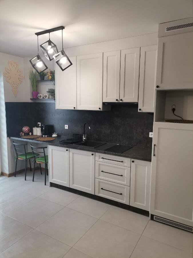 Apartament Gorska Szarotka Nowy Targ Zewnętrze zdjęcie