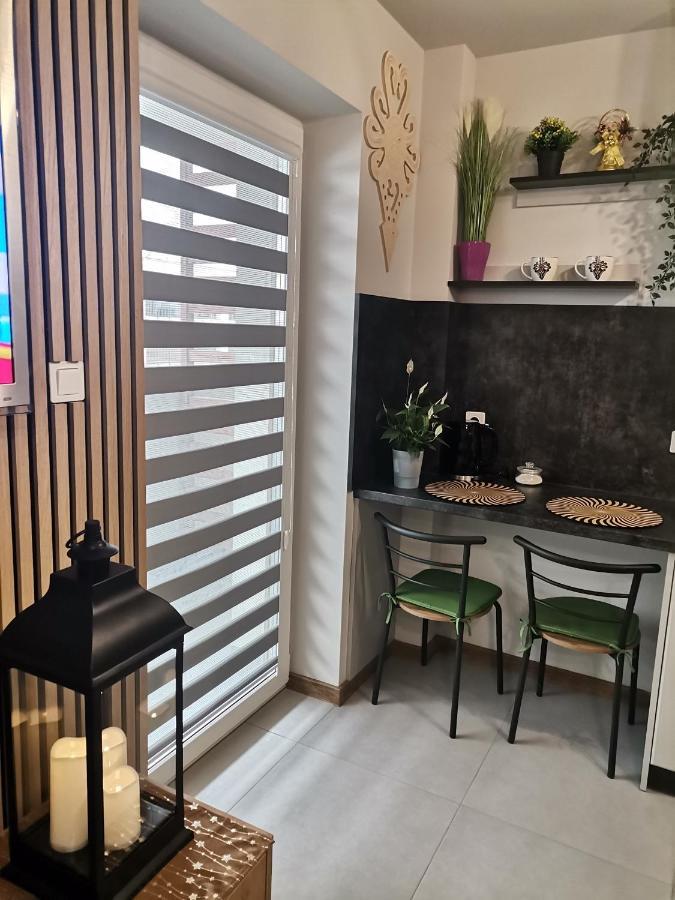 Apartament Gorska Szarotka Nowy Targ Zewnętrze zdjęcie