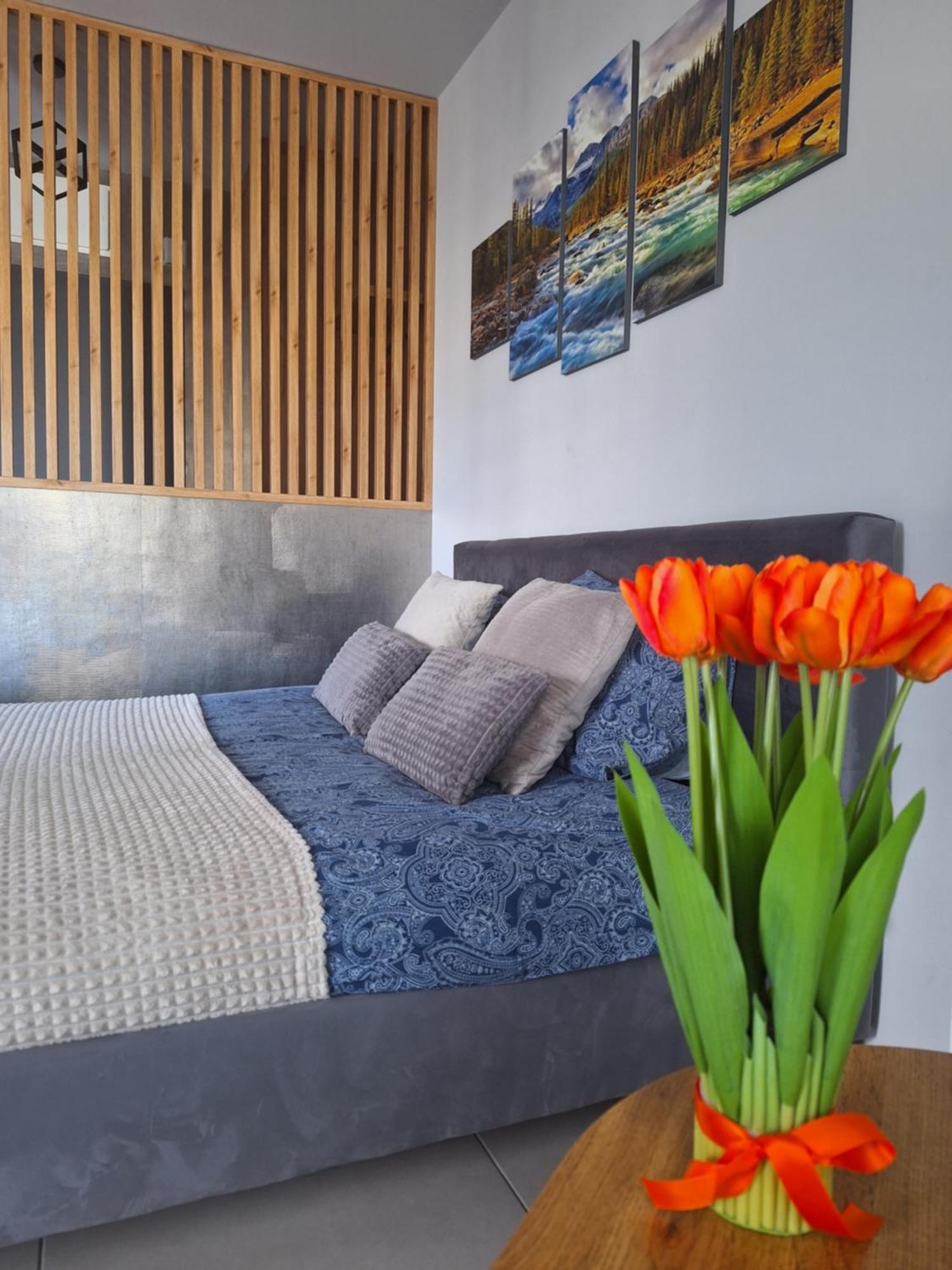 Apartament Gorska Szarotka Nowy Targ Zewnętrze zdjęcie