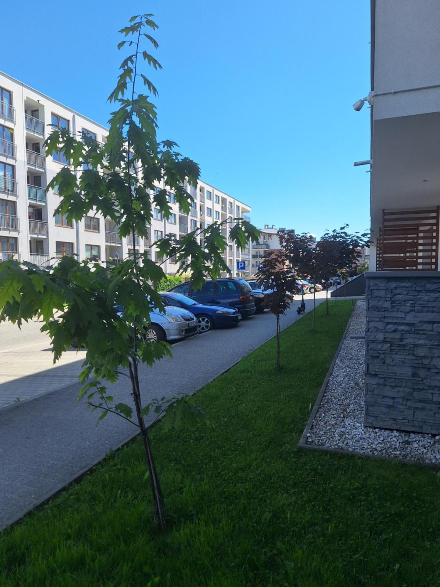 Apartament Gorska Szarotka Nowy Targ Zewnętrze zdjęcie